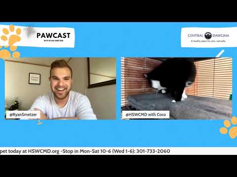 The Pawcast 6/16: Coco