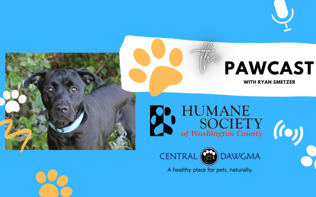 The Pawcast 10/6: Zoey!