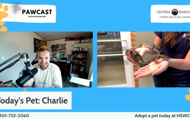 The Pawcast 10/13 – Charlie