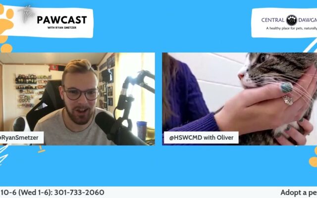 The Pawcast, 11/3 – Oliver!