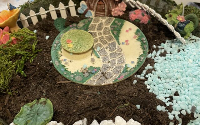 Fairy Garden Fun!!!!
